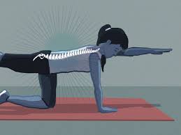 Human muscle system, the muscles of the human body that work the skeletal system, that are under voluntary control, and that are concerned with movement, posture, and balance. A Comprehensive Guide To The New Science Of Treating Lower Back Pain Vox