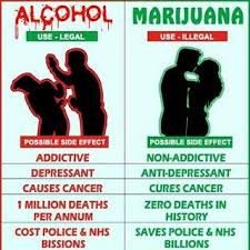 alcohol vs marijuana federal legalization of marijuana