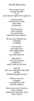 The Owl Who Comes By Mary Oliver Poetic Words Mary Oliver Poems Mary Oliver
