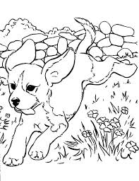 The original format for whitepages was a p. Epingle Par Megan Westjohn Sur Coloring Pages Coloriage