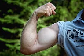 Les méthodes efficaces pour se muscler vite sont diffèrentes selon les buts poursuivis et les appareils disponibles. Musculation Les Meilleurs Exercices Pour Se Muscler Les Bras Rapidement Cool Clin