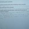 Dna replication and rna transcription and translation. 1