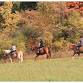Fall Foliage Pleasure Ride