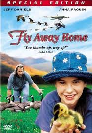 Fly Away Home Hero S Journey Lesson Plan Childhood Movies Hero S Journey Children S Films