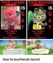 They Are Boyfriends And You Can T Change My Mind Ac Newhorizons Animal Crossing Funny Animal Crossing Animal Crossing Game