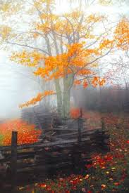 Image result for sad autumn  images