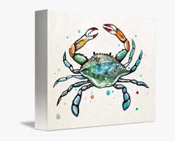Place a small circle at the end of each oval. Crabs Drawing Watercolor Jpg Transparent Cafepress Maryland Blue Crab Tile Coaster Png Image Transparent Png Free Download On Seekpng