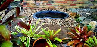 We did not find results for: Turtle Pond Build Aussie Pythons And Snakes