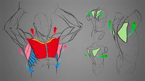Don't think like an anatomy book. How To Draw An Arm Art Rocket