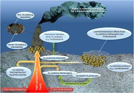 A Curious Kind Of Bacteria Found On The Floor Of The Deep Ocean Might Have A Metabolism Unlike Anything We Ve Seen Before Know In 2020 Bacteria Metabolism Microbiome