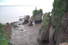 Hopewell Rocks And Mussel Dinner Its About Taste True