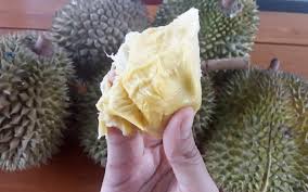 3 durian terenak termahal paling di cari didunia saat ini selamat datang di chanel kami yg berisi info. Sensasi Makan Durian Bawor Rp1 2 Juta Di Kediri Enaknya Tingkat Dewa Okezone Lifestyle