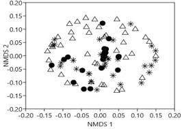 Image result for Secamone punctulata
