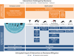 But the primary rationale for its reputation is its capability to promote honesty in the decentralized ecosystem. Alternative Strategies For Mosquito Borne Arbovirus Control