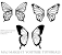 Printable Piped Chocolate Butterfly Template