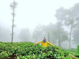 (ini bukan peryataan pamer,hanya sok lebay saja hegheg.). Rute Menuju Kebun Teh Medini Ungaran Masyog Com
