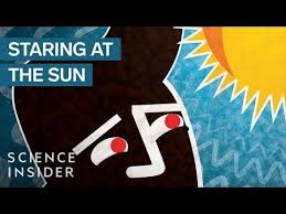 What Happens When You Stare At The Sun For Too Long Youtube