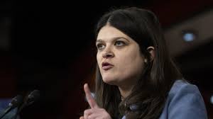 Haley Stevens' Campaign Is Underwhelming Democrats