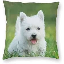 West Highland White Terrier Chiot Décor À La Maison Impression Mignon  Westie Chien Coussin Taie d 45*45CM<16440>