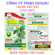 Cova 40EC