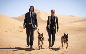 Halle Berry John Wick John Wick 3 Keanu Reeves Wallpaper Ubackground Com John wick movie still screenshot, keanu reeves, one person, real people. halle berry john wick john wick 3