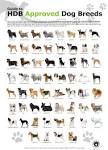 Dog Breeds | List of Dog Breeds A-Z, Pictures, Profiles