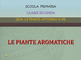 Le due materie vanno affrontate in giorni diversi. Le Piante Aromatiche