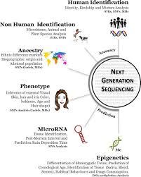 Dna analysis os answer key. Biological Evidence Analysis In Cases Of Sexual Assault Intechopen