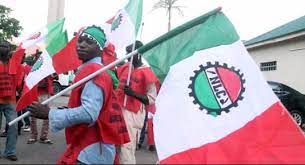 After a week of the commencement, the federal government is yet to begin any dialogue with the union over the ongoing strike. Asuu Joins Nlc Warning Strike In Kaduna State The Guardian Nigeria News Nigeria And World News Nigeria The Guardian Nigeria News Nigeria And World News