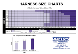 Full Body Harnesses