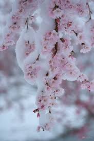 Pin On Nature