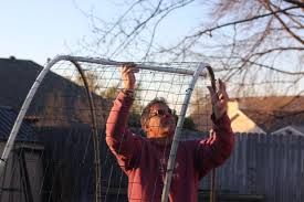 Growing squash on a squash arch many people are afraid to grow squash vertically because it's so heavy. How To Make A Garden Arch For Vines Archives Dishin Dishes