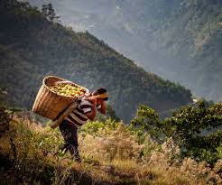 Michael duarte (liga de caldas). Piden Apoyo Para Sacar Adelante Referendo Campesino En Giron