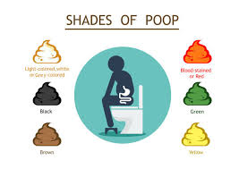 Image result for yellow stool human poop