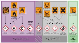 Reconnaître des produits d'usage courant qui présentent un danger (pictogrammes de. Outils Securite Les Pictogrammes Theos Consulting