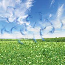 Retinal tears can lead to blurred and worsened vision because of this leaking fluid. Floaters Flashers Retina Treatments Louisiana Eye Laser Center