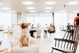 Apply to jobs posted by local families hiring in your area. Affinity Petcare Linkedin