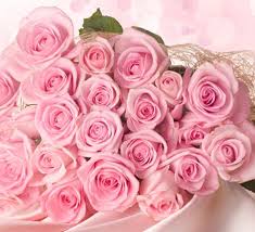 La multi ani, stefan, stefanel, stefanut, fane, fanel, stefania, stefana, fanica, fanuta, fana, stefi, stefanita! Sf Stefan Urari Mesaje Si Texte La Multi Ani Nume Derivate Din Stefan