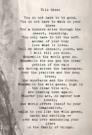 Pin By Jessica Harper On Positivity And Inspiration Mary Oliver Poems Love Words Poems