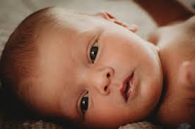 Newborns & Babies — Evie Winter