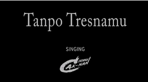 Hai para penggemar denny caknan. Lirik Dan Kunci Chord Gitar Lagu Tanpo Tresnamu Denny Caknan Kesepian Karena Ditinggalkan Tribun Wow
