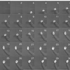 Your innovative product could be just what a big com. The International Sign Language Hand Alphabet Download Scientific Diagram