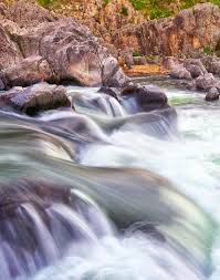 Conservation Federation vol 84 no 3 by Conservation Federation