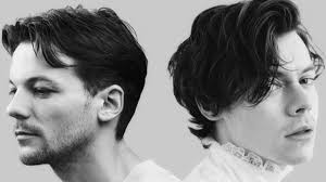 Can you like, brief me about the "Harry got the bee" thingy?