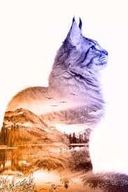 Two Pics One Work Of Art Get Creative With The Double Exposure Guided Edit Cute Animal Drawings Kawaii Cute Animals Cute Drawings