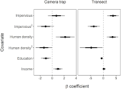 Frontiers | Domestic Cat Abundance and Activity Across a ...