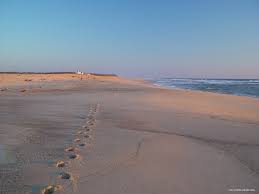 With six swimming beaches, picturesque lighthouses, and plenty of historic sights stretched out along 40 miles of the atlantic, the cape cod national seashore is a haven for beach. Friends Of The Cape Cod National Seashore