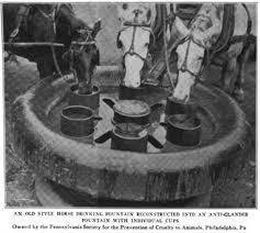 Image result for Glanders