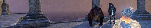 The initial land bound mounts or the unlockable flying mounts, . Mounts Eso Hub Elder Scrolls Online