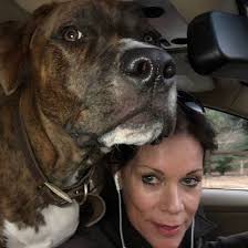 Darkhorse Marines and family, Saddened. Sickened. Angry. Heartbroken. Proud  of you. These are just a few of the thoughts